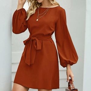 NWT Rust Brown lantern long sleeve mini dress Minimalist Work